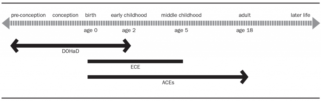 Figure one showing lifespan continuum